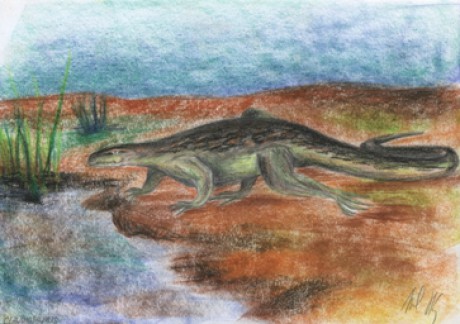 claudiosaurus